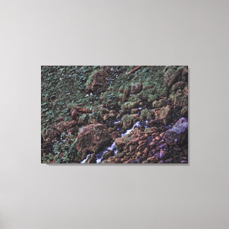 EarthTone Canvas Print