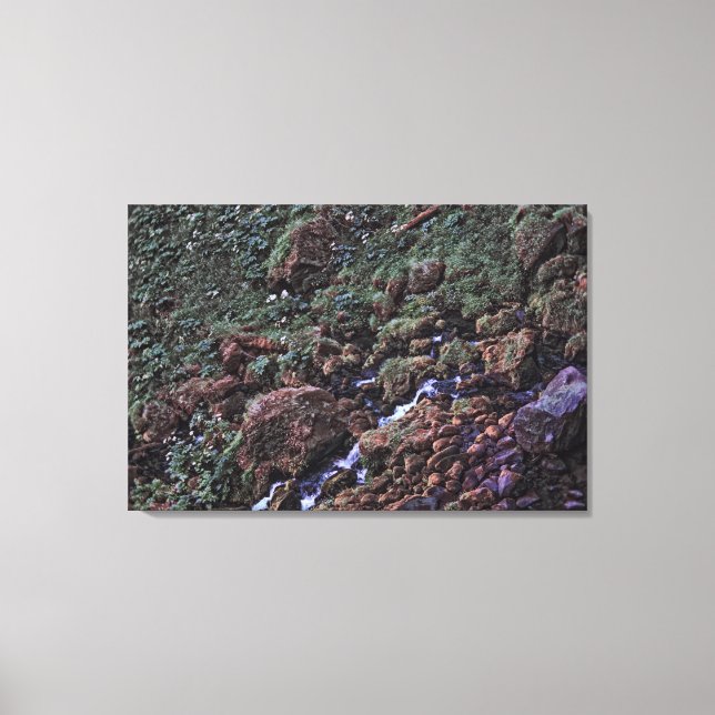 EarthTone Canvas Print (Front)