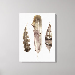 Earthtone Feathers II Canvas Print