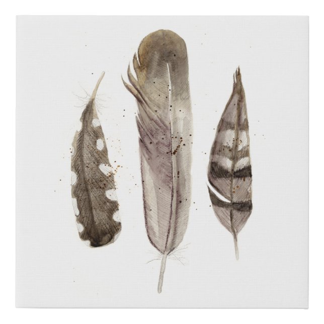 Earthtone Feathers II Faux Canvas Print (Front)