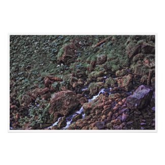 EarthTone Photo Print