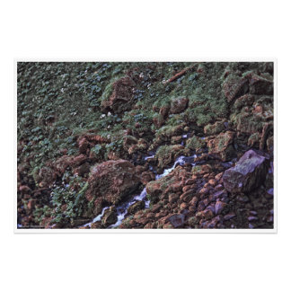 EarthTone Photo Print
