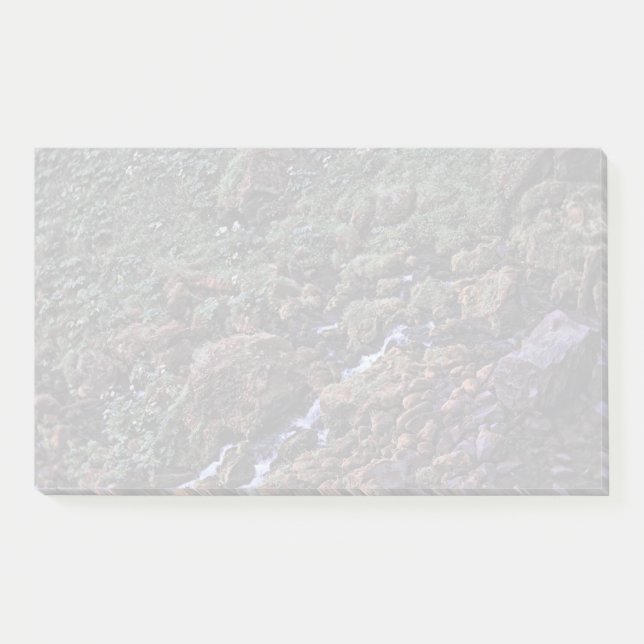 EarthTone Post-it Notes (Front)