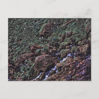 EarthTone Postcard