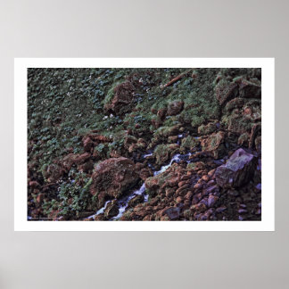 EarthTone Poster