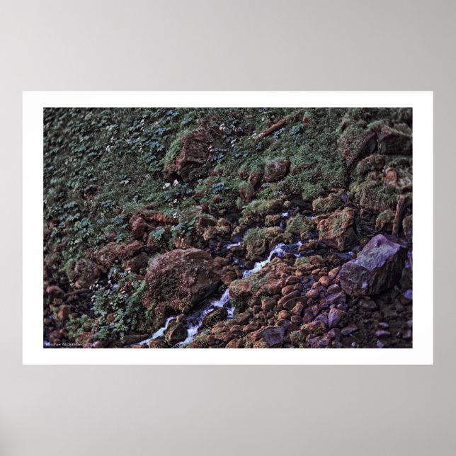 EarthTone Poster (Front)
