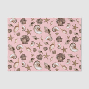 Earthtone seashells on pink tissue paper