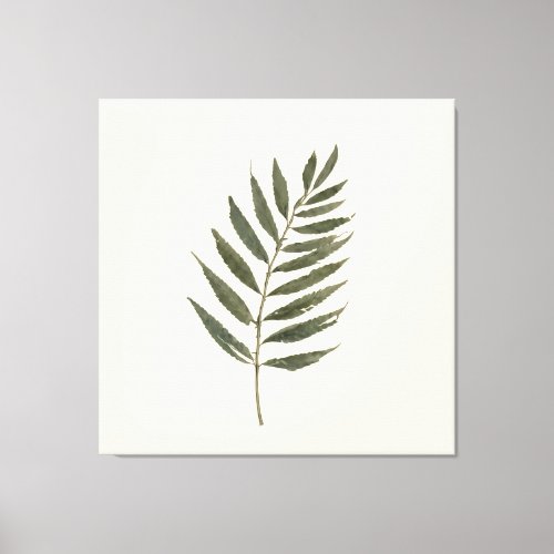Earthy Botanical Leaf Stem Vintage Cream Rustic Canvas Print