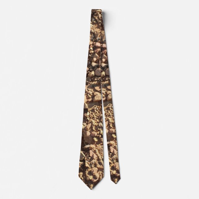 Earthy Brown Rocky Terrain in Sandy Beige Neck Tie (Front)