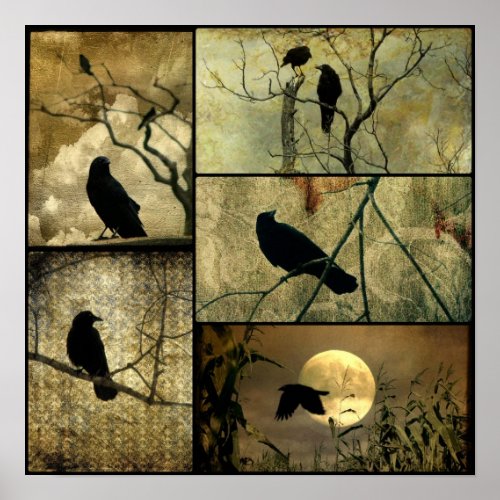 Earthy Crows Collage Poster