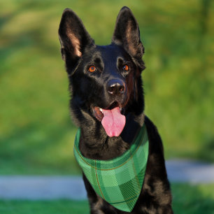 Earthy Olive Gold Plaid Aesthetic Pet Bandana Collar