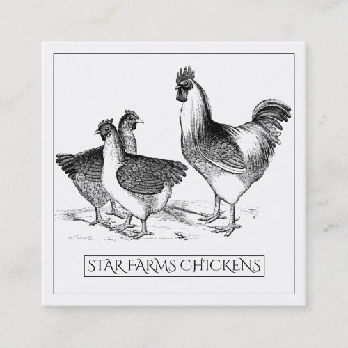 Earthy Rustic Chicken Poultry Farm Square Business Card