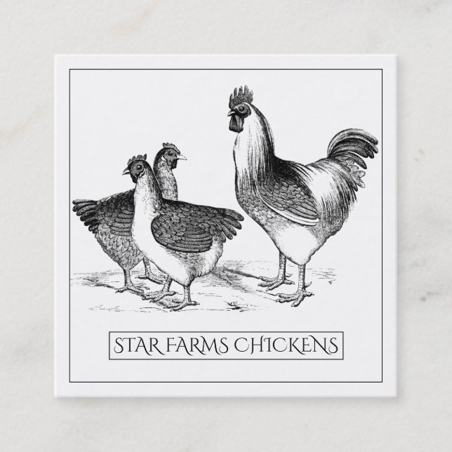 Earthy Rustic Chicken Poultry Farm Square Business Card (Front)
