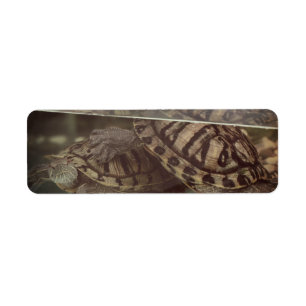 Earthy Turtles Address Label