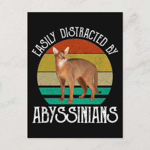 Easily Distracted By Abyssinians Postcard