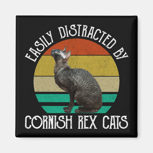 Easily Distracted By Cornish Rex Cats Magnet (Front)