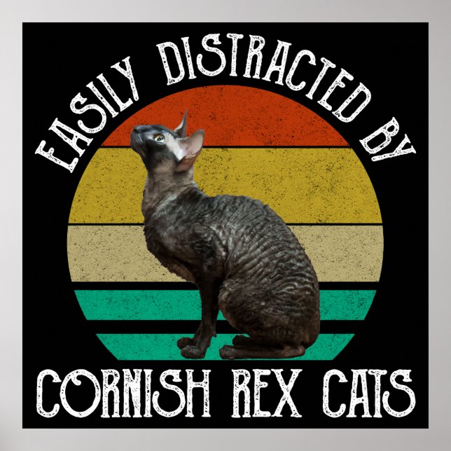 Easily Distracted By Cornish Rex Cats Poster (Front)