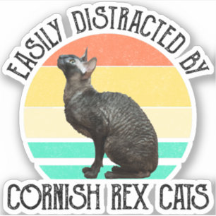 Easily Distracted By Cornish Rex Cats Sticker