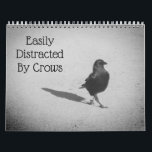 Easily Distracted By Crows Calendar<br><div class="desc">A crow collection I made from my own personal crow photographs. The theme of this calendar is everyday crows in different settings with some fantasy added for good measure.</div>