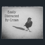 Easily Distracted By Crows Calendar<br><div class="desc">A crow collection I made from my own personal crow photographs. The theme of this calendar is everyday crows in different settings with some fantasy added for good measure.</div>