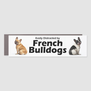 Easily Distracted by French Bulldogs Car Magnet