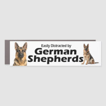 Easily Distracted by German Shepherds