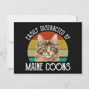 Easily Distracted By Maine Coons Postcard