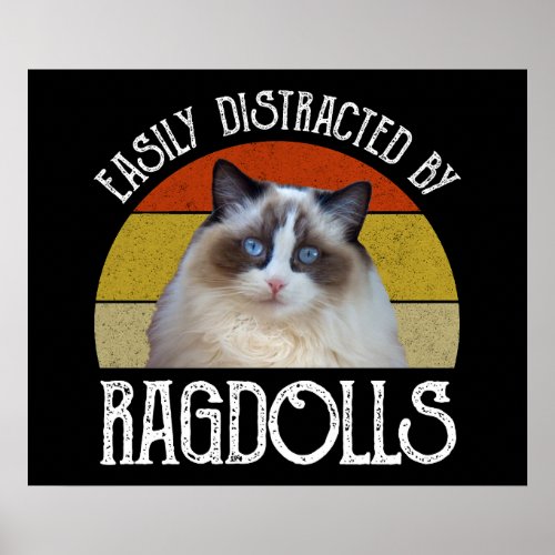 Easily Distracted By Ragdolls Poster