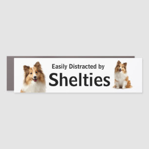 Easily Distracted by Shelties Humor Car Magnet