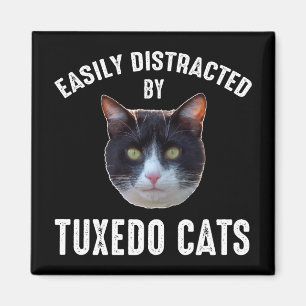 Easily Distracted By Tuxedo Cats Magnet