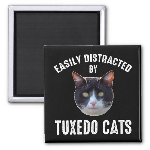 Easily Distracted By Tuxedo Cats Magnet