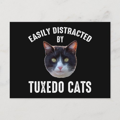 Easily Distracted By Tuxedo Cats Postcard