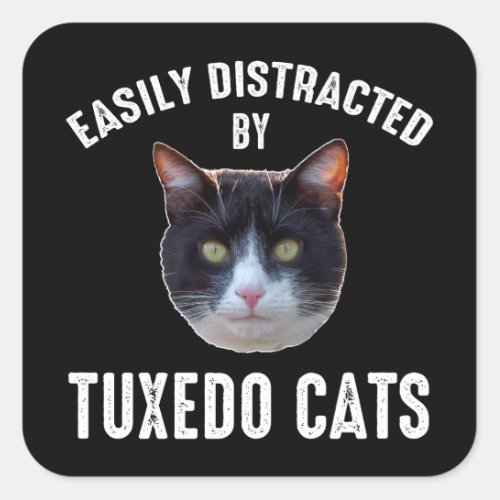 Easily Distracted By Tuxedo Cats Square Sticker