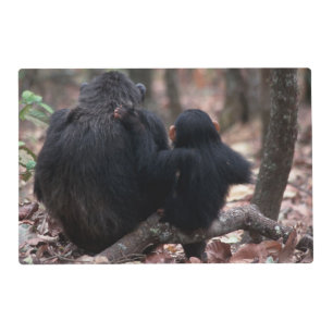 East Africa, Tanzania Placemat