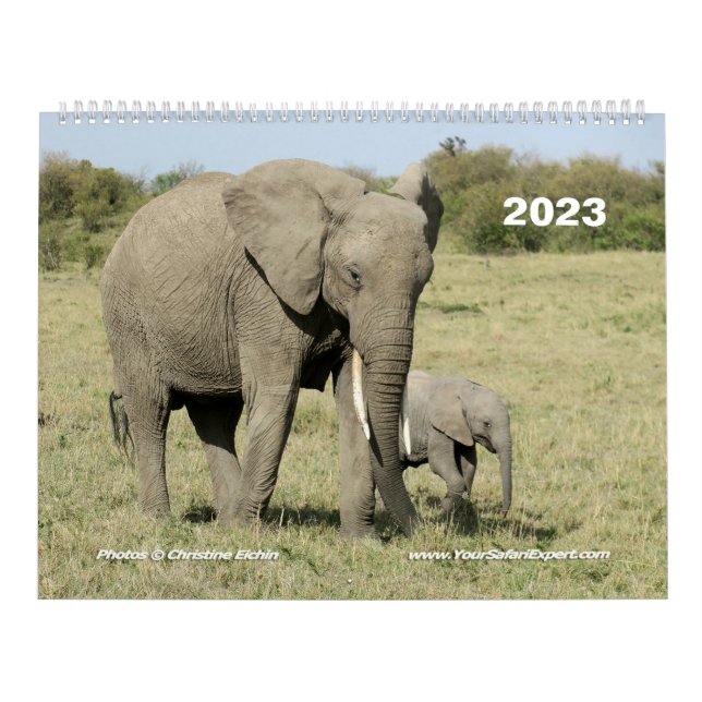 East African Animals (Two-Page) Calendar (Cover)