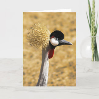 East African Crowned Crane Card