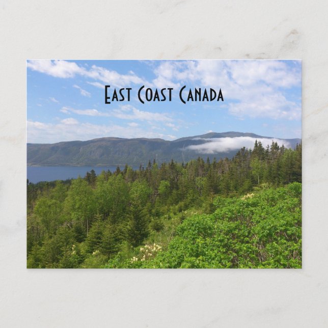 East Coast Canada Postcard (Front)