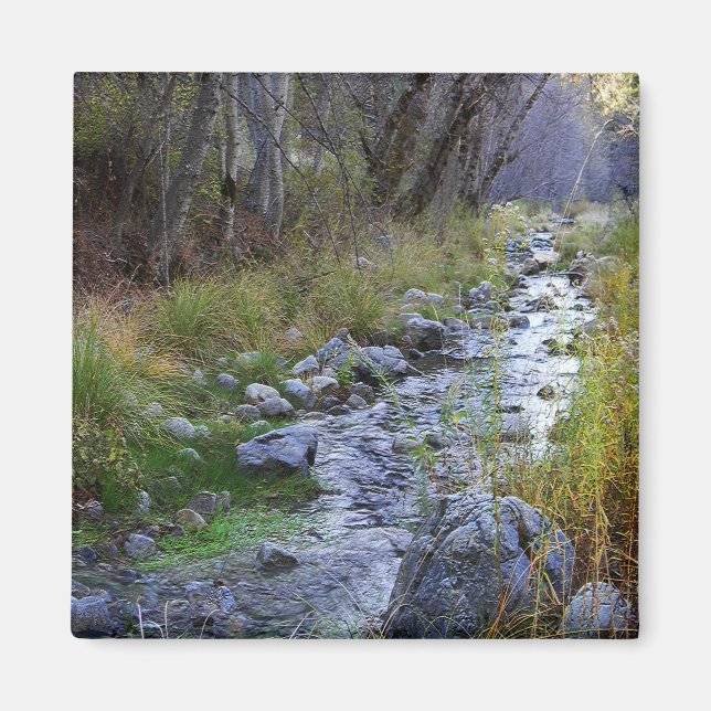East Fork/Hayfork creek...... Magnet (Front)