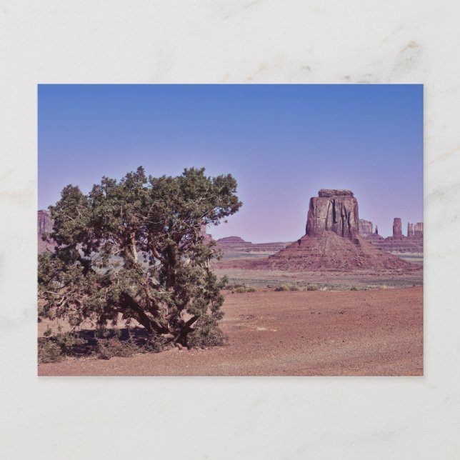 East Mitten Bute Postcard (Front)