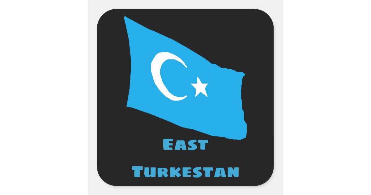Sticker aufkleber Nationalitätenkennzeichen flagge uigurisch xinjiang turkestan