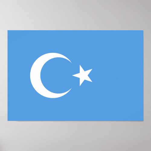 East Turkestan Uyghur Flag Poster