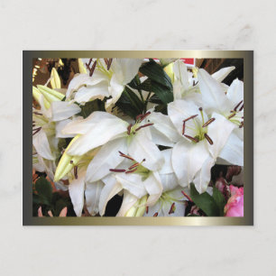 Easter and Palm Sunday Crosses and Scenes Holiday Postcard