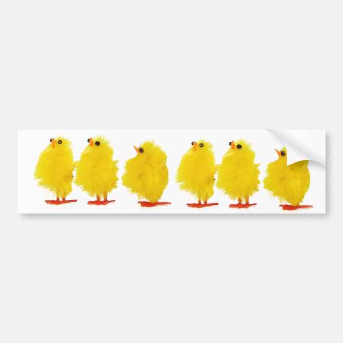 Easter baby chicks Bumper Sticker