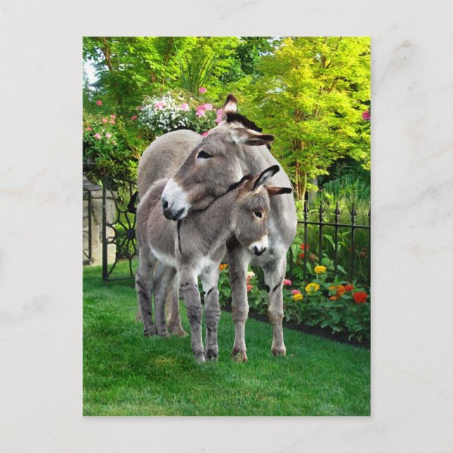 "Easter & Baby Eno" Postcard (Front)