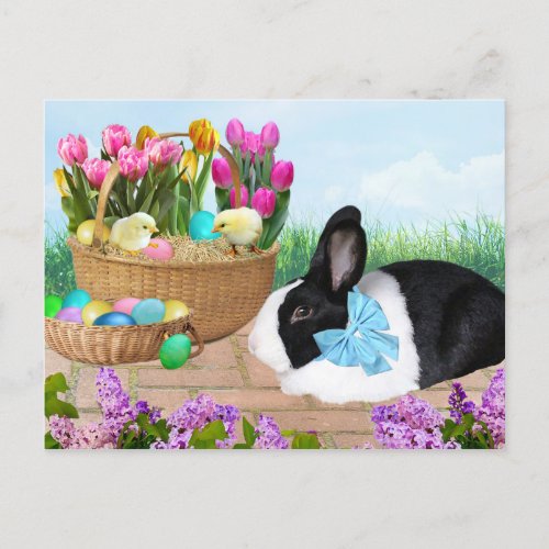 Easter Basket Bunny Postcard
