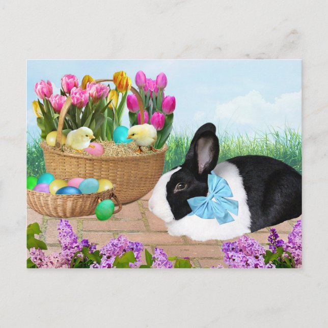 Easter Basket Bunny Postcard (Front)