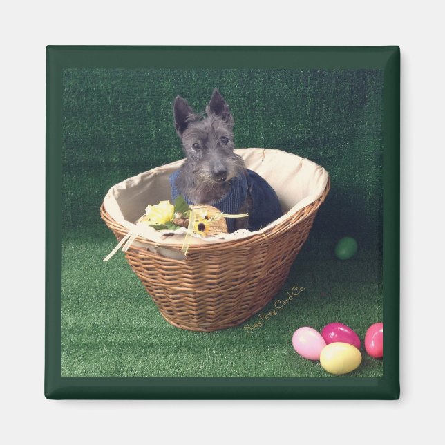 Easter Basket Scottie Magnet (Front)