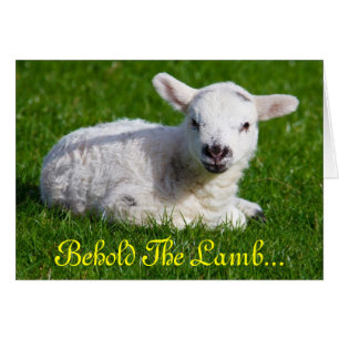 Easter Behold the Lamb II Cards