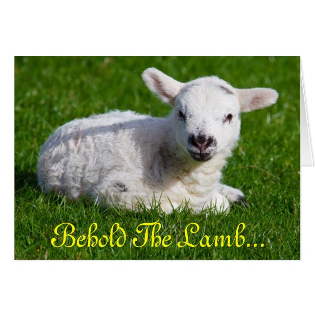 Easter Behold the Lamb II Cards (Front Horizontal)