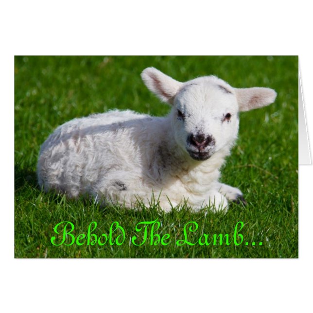 Easter Behold the Lamb III Cards (Front Horizontal)